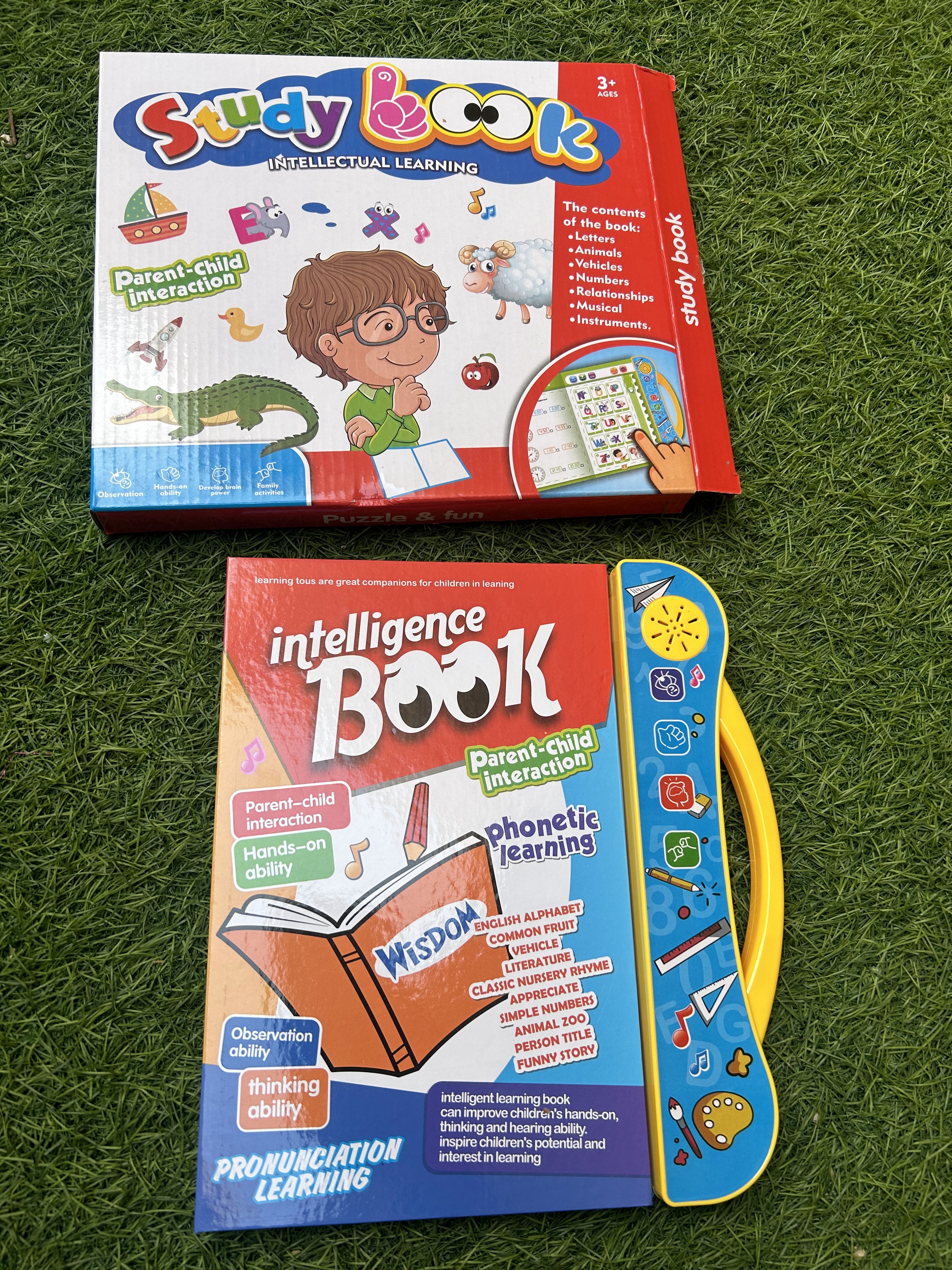 Intelligence Study Book – Jollybee
