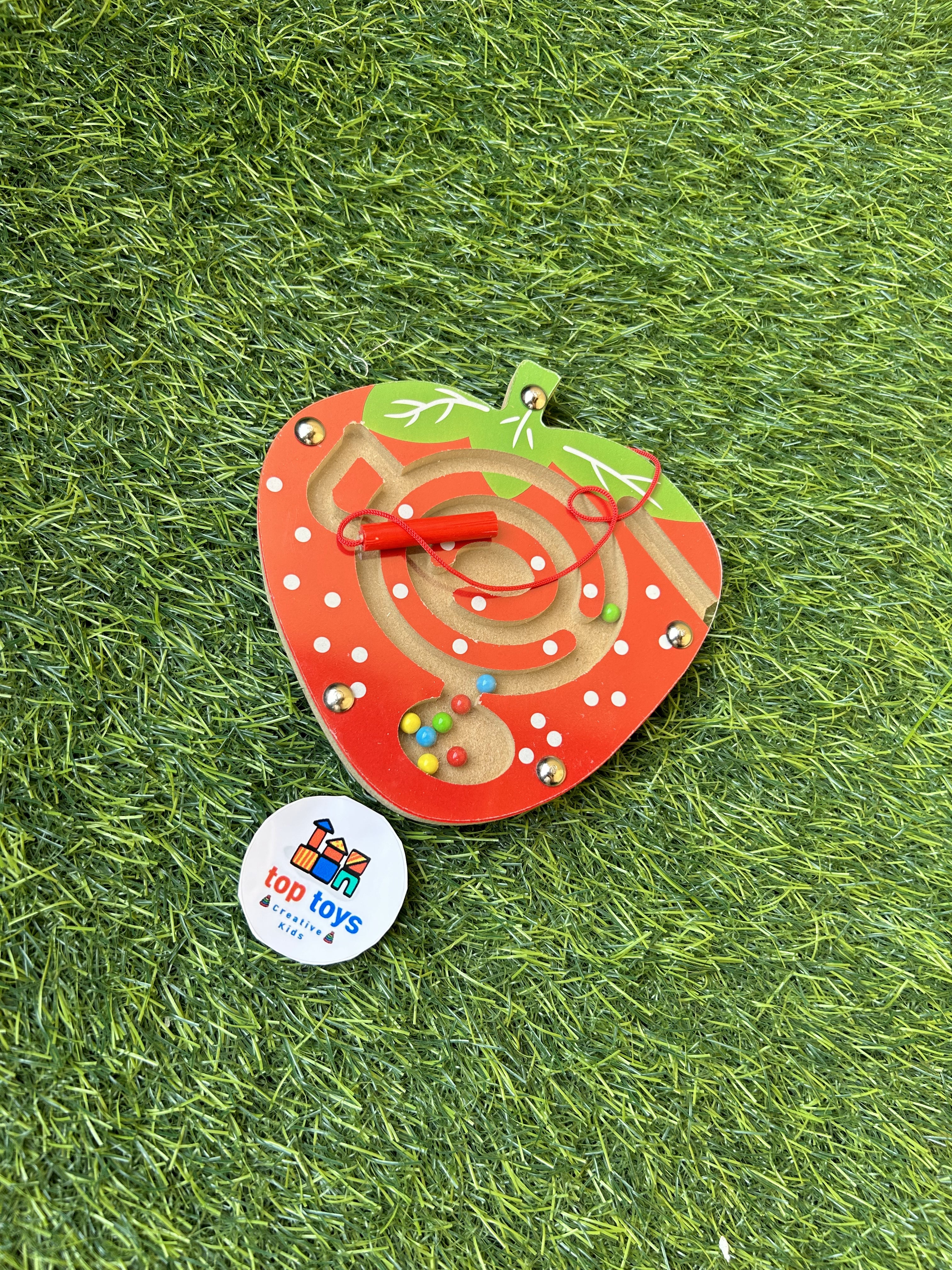 Magnetic Maze Shapes