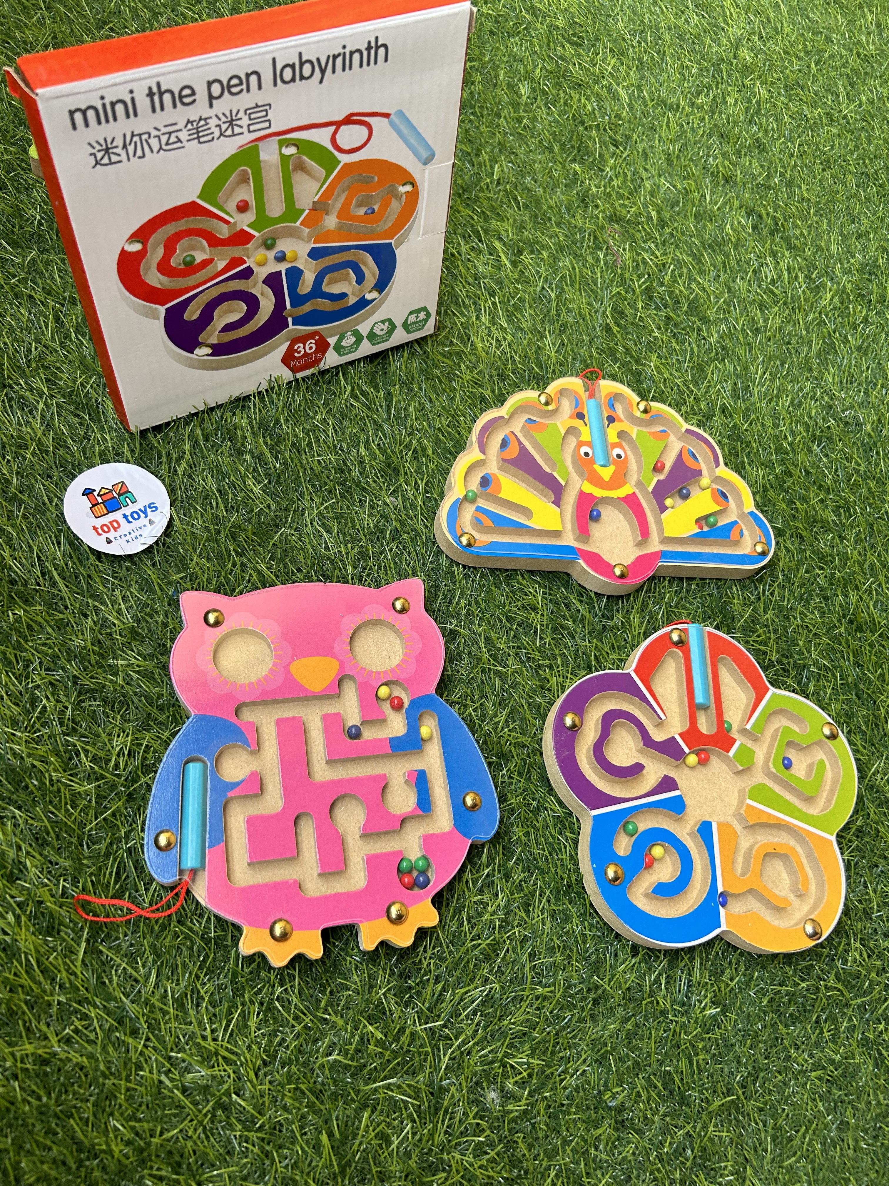 Magnetic Maze Shapes